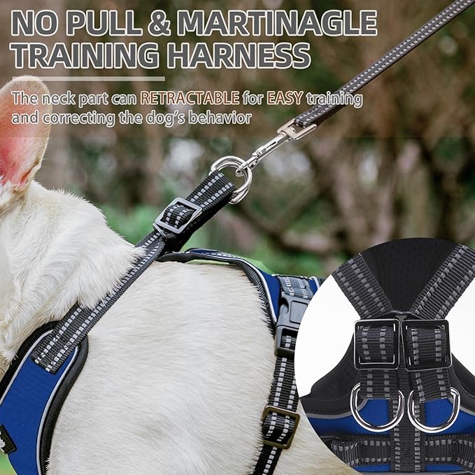 PUPTECK Dog Harness and Leash Set Medium Sized, Adjustable Reflective Escape Proof Puppy Vest, No Pull Walking Harness Easy Control