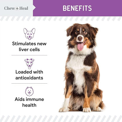 Milk Thistle for Dogs Liver Support - 2 oz Liquid Milk Thistle Supplement for Kidney and Liver Support - with Wild Alaskan Salmon Oil and Moringa Oil - Made in USA