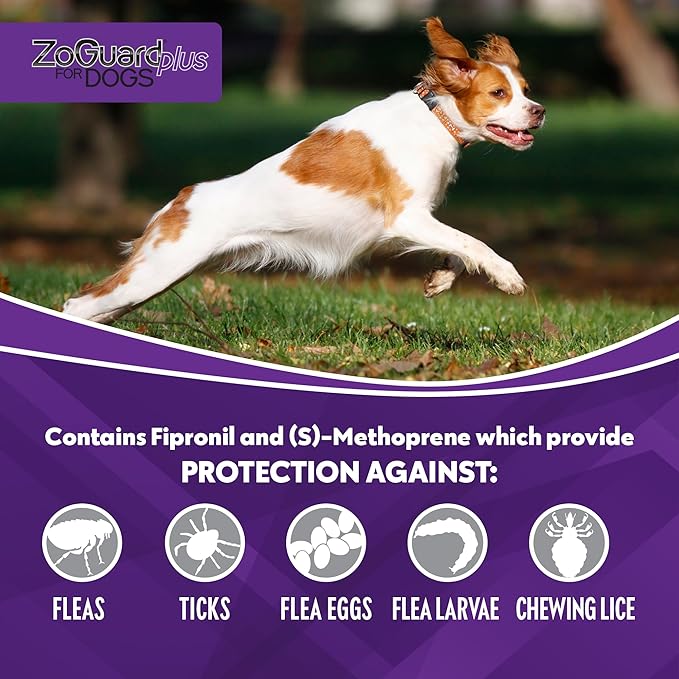 ZoGuard Plus Flea and Tick Prevention for Medium Dogs – Flea & Tick Prevention for Dogs 23-44lbs 12 Month Supply, Pack of 4