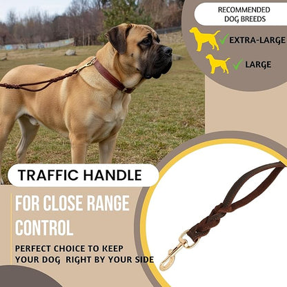 ADITYNA - Double Handle Leather Dog Leash 6ft - Heavy Duty Braided Dog Leash with Traffic Handle for Mastiff, Saint-Bernard, Rottweiler - Lead for Extra-Large Breeds (Brown, Two Handles 6 Foot x 1")