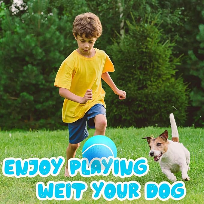 Banfeng Big Tennis Ball for Dogs, Giant Dog Tennis Ball Toy Large Outdoor Sports Gift for Small Medium Large Dog (Sky Blue, 9.5 inch)