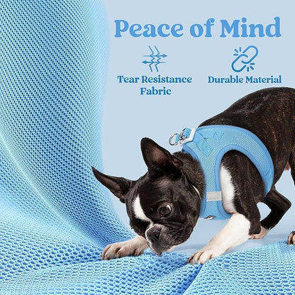 rabbitgoo Small Dog Harness, Step-in Soft Mesh Puppy Vest with Safety Buckle, Breathable Reflective Pet Harness for Extra Small Dogs, Blue XXS
