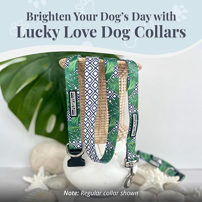Lucky Love Dog Martingale Collar, Premium No Slip Martingale Collar for Large Boy Dogs, Great for Whippets, Greyhounds, and More (Large, Blue Laguna)