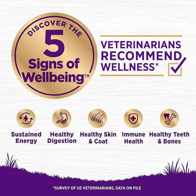 Wellness Complete Health Sensitive Skin and Stomach Dry Dog Food, Wholesome Grain Kibble, Natural, Chicken Free, Salmon and Rice Recipe, 38 lb Bag