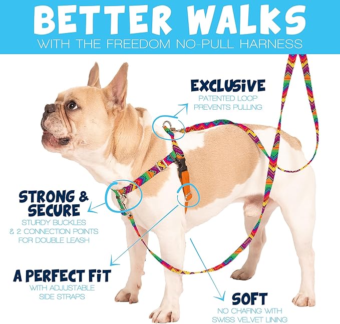 2 Hounds Design Freedom No Pull Dog Harness, Adjustable Harness, Easy Walking & Comfortable Control, Fits Small, Medium & Large Dogs, Solid Colors, Made in USA, 5/8" MD, Purple
