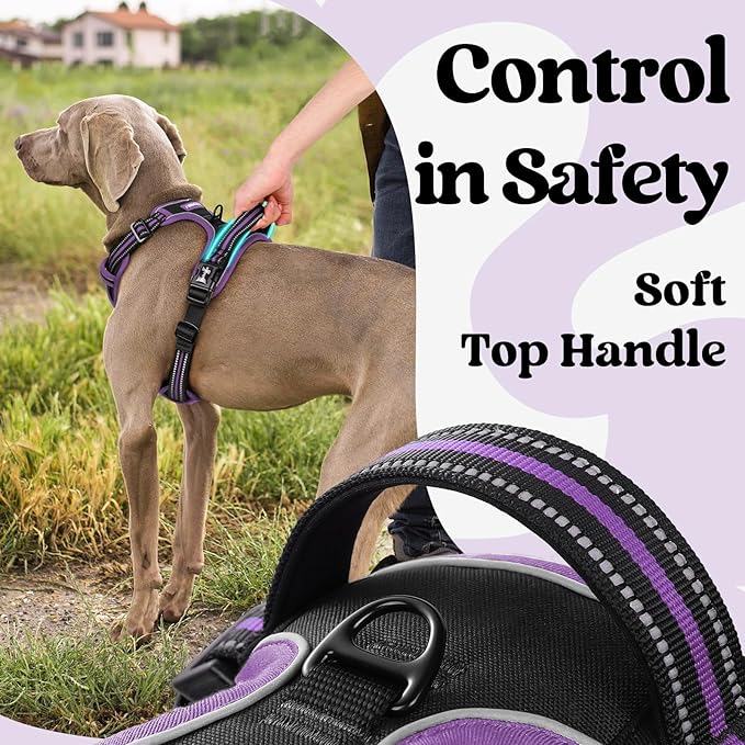rabbitgoo Dog Harness Medium Sized, No Pull Pet Harness with 3 Buckles, Adjustable Soft Padded Vest with Control Handle, Walking Reflective Pet Vest for Medium Dogs, Black & Purple, M