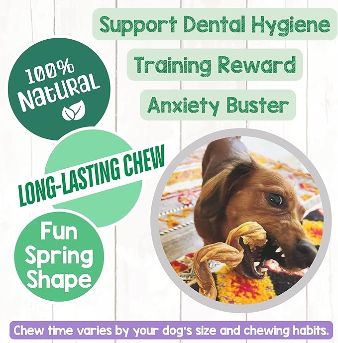 Nature Gnaws Bully Stick Springs for Dogs 7-8" (12 Count) - Long Lasting for Aggressive Chewers - Natural Curly Beef Dog Chew Bones - Rawhide Free