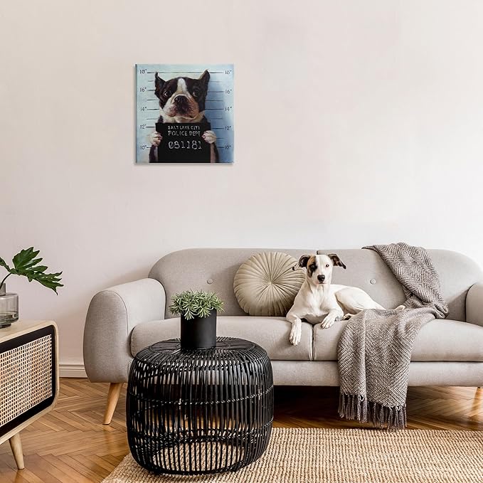 Stupell Industries Funny Boston Terrier Dog Jail Convicted Police, Design by Lucia Heffernan