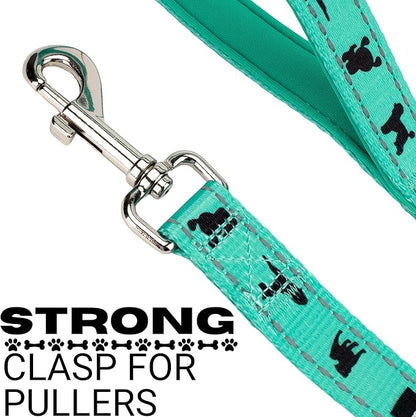 EcoBark Dog Leash - Soft & Reflective Comfort Leashes with Padded Handle - Safe, Strong, & Durable for Small, Medium or Large Dogs (Turquoise)