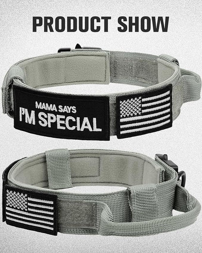 Joytale Tactical Dog Collar with Handle and Metal Buckle, Heavy Duty Padded Military Collar with 2 Patches for Training, Adjustable for XLarge Dogs, Gray, XL