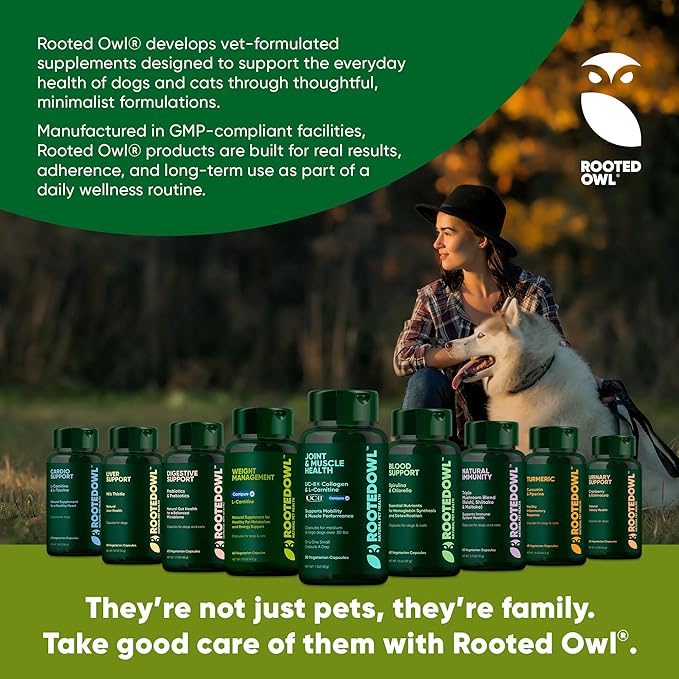 Rooted Owl Turmeric - Turmeric Supplement for Dogs and Cats - with Curcumin, Piperine and Vitamin C for Anti-Inflammatory Relief - 60/ct