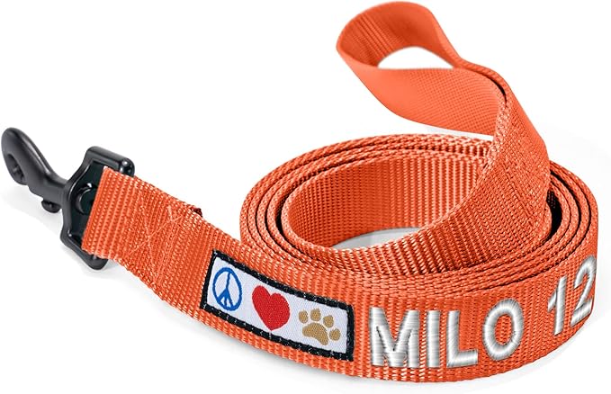 Pawtitas Personalized 6 ft Orange Dog Leash M/L Custom Name and Phone Embroidery Strong Nylon Leash for Medium and Large Breeds