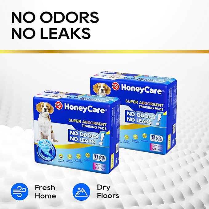 HONEY CARE All-Absorb A07 Bulk Packaging Training Pads, Blue, Large - 22" x 23" 200ct