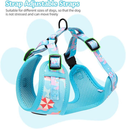 Small Dog Harness and Leash Set of 6, No Pull Soft Lightweight Mesh Puppy Harness， Adjustable Cute Floral Pattern Pet Harness for Small Medium Dogs (Blue Sea, XS)