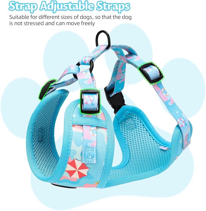 Small Dog Harness and Leash Set of 6, No Pull Soft Lightweight Mesh Puppy Harness， Adjustable Cute Floral Pattern Pet Harness for Small Medium Dogs (Blue Sea, L)