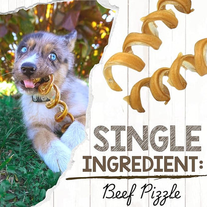 Nature Gnaws Bully Stick Springs for Dogs 7-8" (6 Count) - Long Lasting for Aggressive Chewers - Natural Curly Beef Dog Chew Bones - Rawhide Free