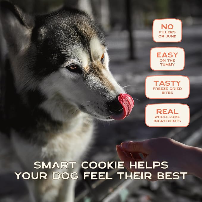Smart Cookie Freeze Dried Salmon Bites - Single Ingredient Freeze Dried Treats for Dogs - Wild Caught Alaskan Salmon Dog Training Treats & Dog Food Topper - Made in USA - 2oz Bag, 1 Pack