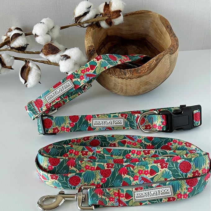 Lucky Love Dog - Easy Click Buckle Dog Collar with Leash Set Combo, Durable & Comfortable for Male & Female Dogs, Pet Collar for Small Dogs, Secure Fit - Ginny Combo, Small