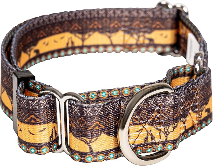 Downtown Pet Supply - Martingale Collar for Dogs - Dog Training Collar - Big, Wide & Thick Dog Collar - Escape-Proof, Weatherproof, Durable and Comfortable - Sahara - Large Dog Collar