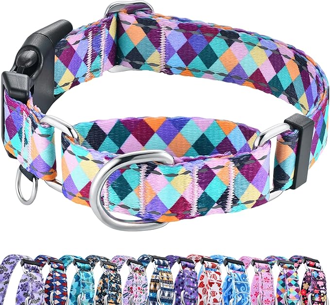 Reflective Martingale Collar for Dogs with Quick Release Buckle No Pull Training Dog Collars (Colorful Geometric, Large)
