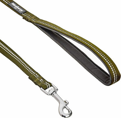Blueberry Pet 3M Reflective Pastel Color Dog Leash with Soft & Comfortable Handle, 4 ft x 1", Olive Green, Large, Leashes for Dogs