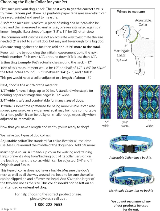 LupinePet Originals 3/4" Turtle Reef 14-20" Martingale Collar for Medium and Larger Dogs