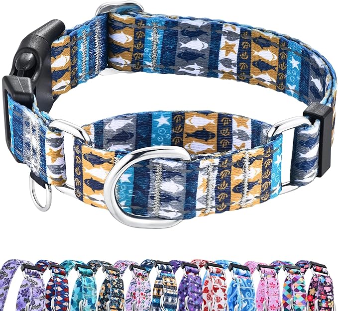Reflective Martingale Collar with Buckle Shark Starfish Ethnic Stripe Adjustable Designer Dog Collars (Underwater World, XSmall)