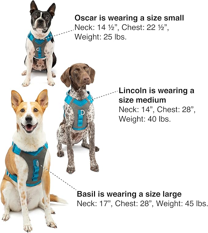 Kurgo Journey Air Dog Harness - Secure Fit for Active Dogs - Padded Chest - Lightweight Ripstop Fabric - Breathable Mesh - Reflective Trim - Back Assist Handle - Red - X-Large