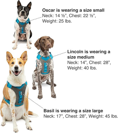 Kurgo Journey Air Dog Harness - Secure Fit for Active Dogs - Padded Chest - Lightweight Ripstop Fabric - Breathable Mesh - Reflective Trim - Back Assist Handle - Red - Small