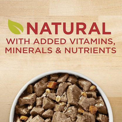 Purina ONE Natural Wet Dog Food Gravy, Tender Cuts in Gravy Beef and Barley Entrée - 13 Ounce (Pack of 24)