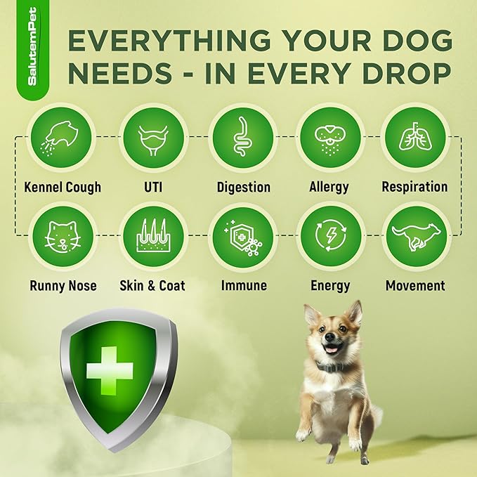 Natural Antibiotics for Dogs and Puppies | Antibiotics for Dogs of All Ages | Herbal Ingredients | Helps with Allergies and UTIs | for Balanced Digestion | Joint Care | Bacon Taste | 2 Oz