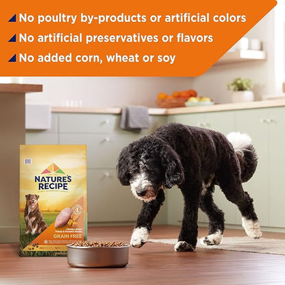 Nature′s Recipe Chicken, Barley & Brown Rice Recipe Dry Dog Food, 4 lb. Bag (Pack of 2)