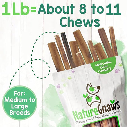 Nature Gnaws Bully Sticks for Dogs 11-12" (1Lb) - Mixed Thickness - Long Lasting for Aggressive Chewers and Large Dogs - Natural Beef Dog Chew Bones