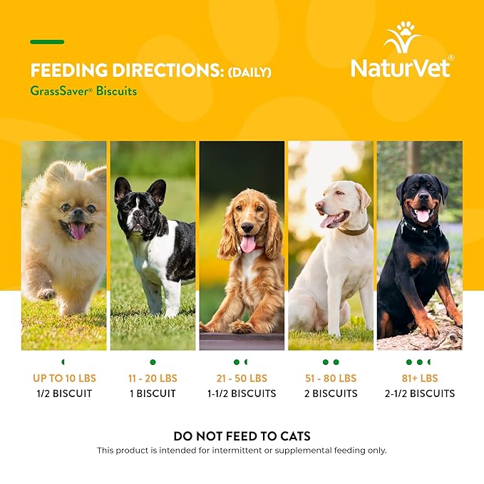 NaturVet GrassSaver|Biscuits for Dogs – Help Keep Grass Green, Rid Your Lawn of Yellow Patches Caused by Dog Urine| No More Yellow Spots| DL-Methionine Peanut Butter Flavor – 11 oz