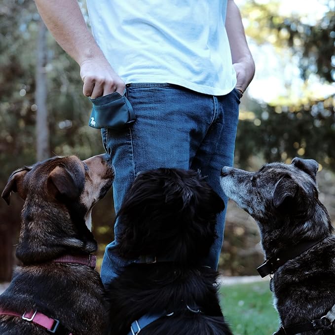 Pocket Sized Dog Treat Pouch - Treat Pouches for Pet Training - Medium Dog Treat Pouch with Magnetic Closure - Dog Walking Treat Bag for Dog Training - Turquoise