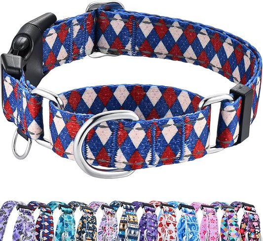 Reflective Martingale Dog Collar with Buckle Soft Nylon Geometric Patterns Pet Collars for Extra Small Dogs (Argyle, XS)