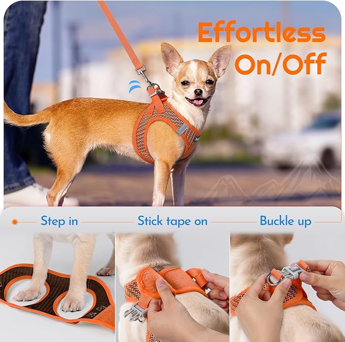 Eagloo Small Dog Harness and Leash Set, Step in Puppy Vest with Breathable Soft Mesh, Walking Reflective Pet Harness for Small Dogs, Orange, S