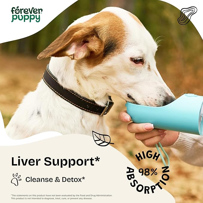 Forever Puppy Liver Support for Dogs - Liquid Milk Thistle Extract for Dogs - Liver Detox Vitamins and Supplements for All Breeds & Sizes - Sugar & Alcohol-Free Drops - 4 oz
