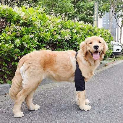 HDKUW Dog Elbow Protector, Dog Front Leg Recovery Sleeve for Prevent Licking Wound, Elbow Sleeves with Mesh Pad for Medium Large Dogs Black XL