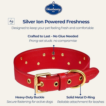 Blueberry Pet Premium Embossed Red Glam Silver-Powered Freshness Microfiber Leather Dog Collar with Gold Studs