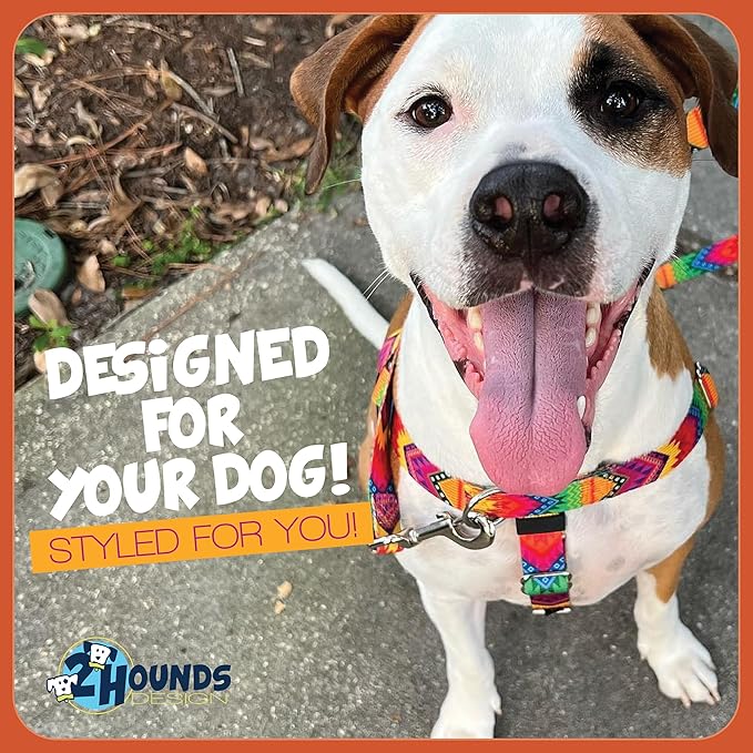 2 Hounds Design Freedom No Pull Dog Harness, Adjustable Harness, Easy Walking & Comfortable Control, Fits Small, Medium & Large Dogs, Solid Colors, Made in USA, 1" XL, Neon Organge