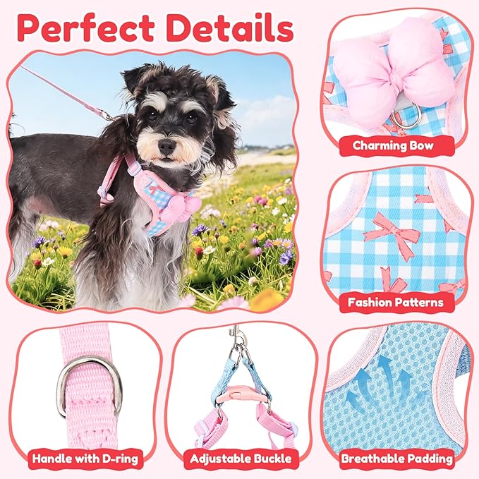 Coppthinktu Dog Harness for Small Sized Dogs, Puppy Cat Harness with Leash Set No Pull Dog Harness Adjustable Reflective Step-in Pet Vest Harnesses with Cute Bow Soft Padded Outdoor Walking