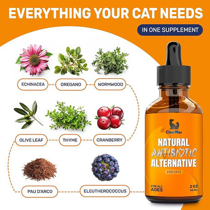 Cat Antibiotic to Help with Cough & Allergies – Antibiotics for Cats to Aid with UTIs and Digestive Moments – Hips & Joints Support – Attractive Chicken Taste – 2 Oz Bottle