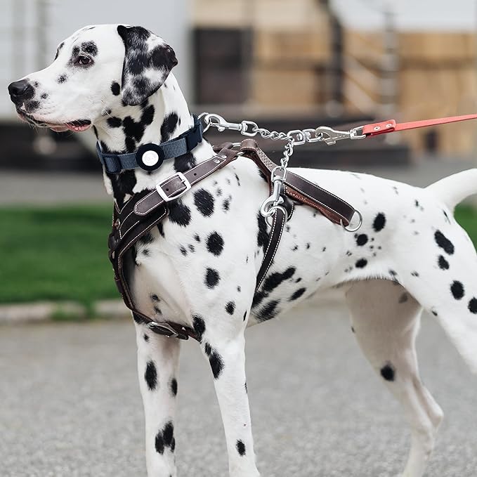 Prong Collar Safety Clip Stainless Steel Dog Safety Clip, Leash Backup with Dual Clasps, Collars and No Pull Harness Connectors
