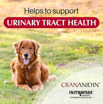 Nutramax Crananidin for Dogs, Urinary Tract Health and Bladder Health Support, Cranberry Supplement for Dogs of all Breeds and Sizes, Chewable Tablets, 75 Count