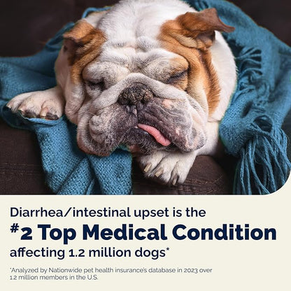Vetnique Glandex Daily Probiotics for Dogs with Prebiotics to Support Gut Health, Diarrhea with Fiber and Digestive Enzymes, Dog Probiotic Chews or Powders (120ct Chews, Bacon Chews)