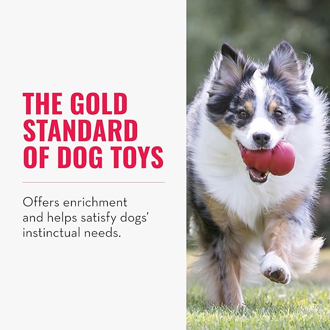 KONG Classic Stuffable Dog Toy - Fetch & Chew Toy for Dogs - Treat-Filling Capabilities & Erratic Bounce for Extended Play Time - Durable Natural Rubber Material - for Extra Small Dogs