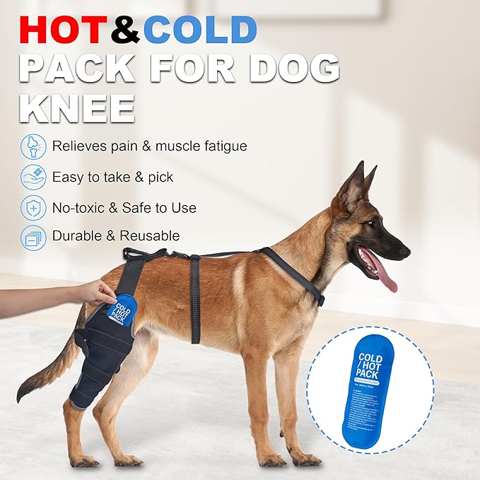 Dog Knee Brace for Torn ACL Hind Leg, Hind Leg Support with Removable Hot/Cold Gel Pack, Joint Pain & Mobility Relief, Left Leg, XL