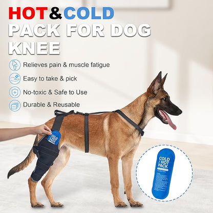 Dog Knee Brace for ACL Tear, Hot/Cold Compress Rear Leg Support, Senior Dog Knee Support with Ice Pack for Joint Dysplasia & Ligament Injuries, Rear Left Leg, M