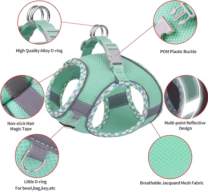AIITLE Teacup Puppy Harness with Leash - Adjustable Soft Vest with Magic Tape & Reflective Safety Strips, Easy-Put-On for Poodles, Pomeranians - Gym, Hiking, Travel (Turquoise, S)